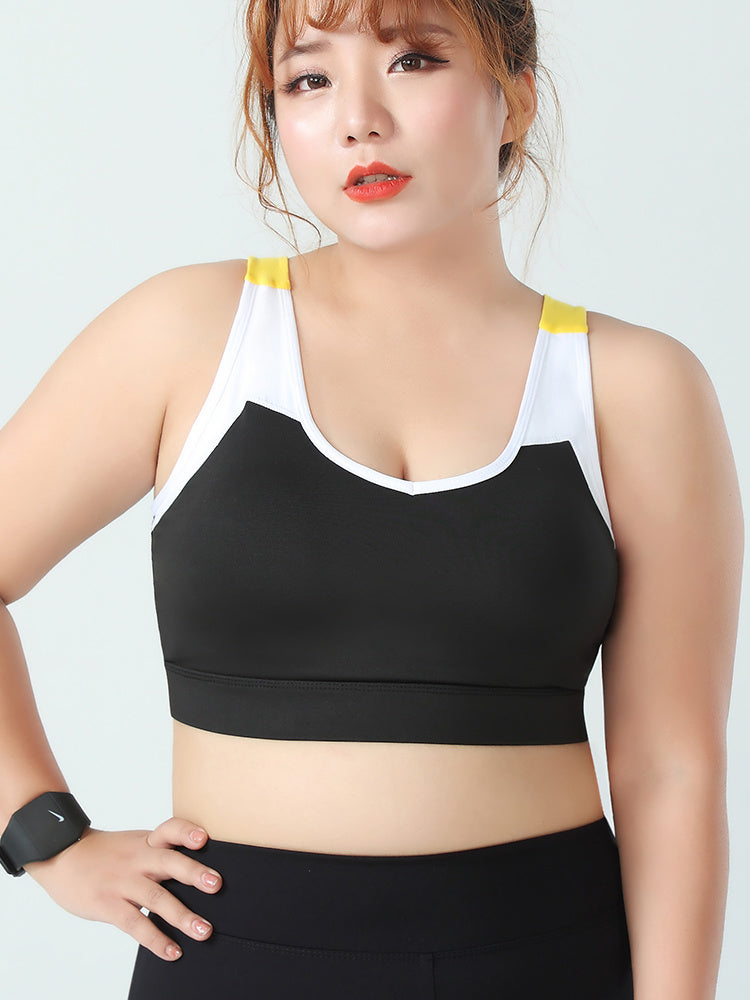 Sports Underwear Female Gym Bra